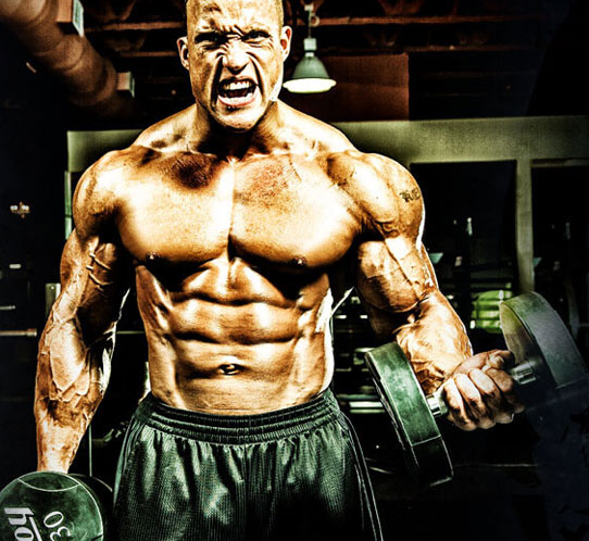 Steroid cycle for men's physique